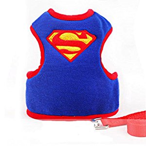 Cartoon Pet Lead Leash