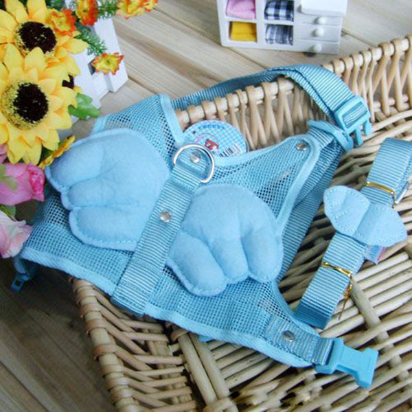 Comfortable Dog Leashes Straps