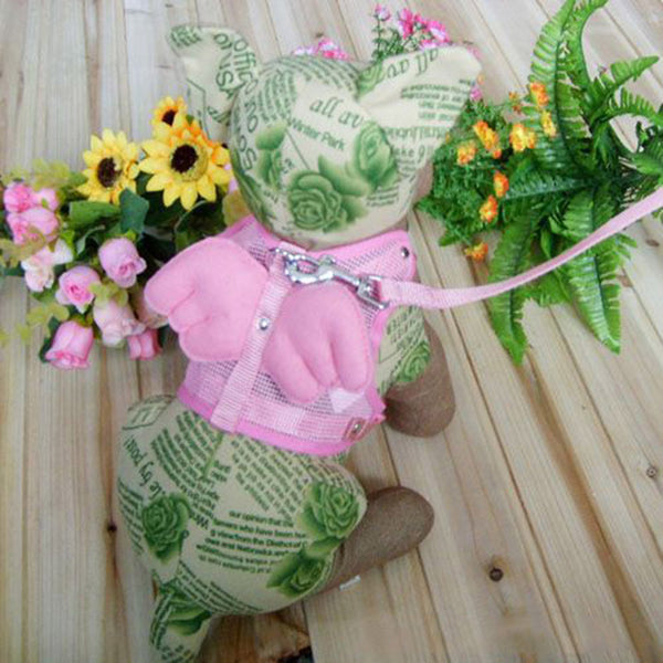 Comfortable Dog Leashes Straps