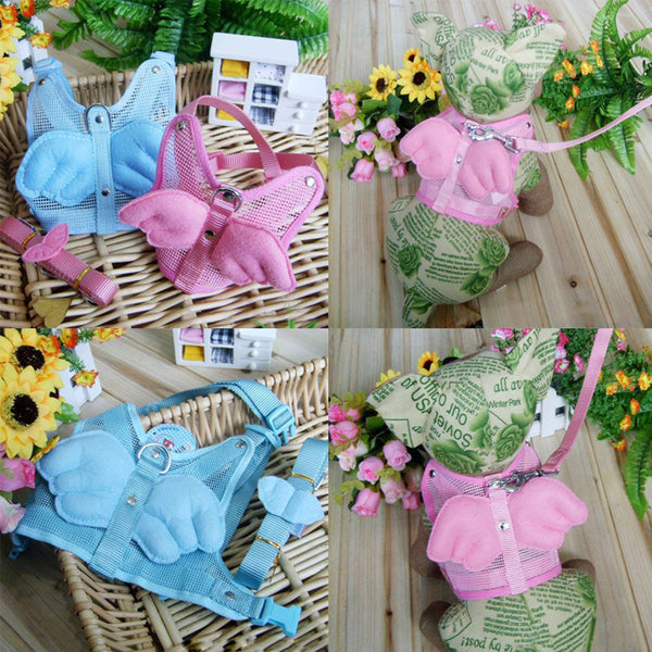 Comfortable Dog Leashes Straps