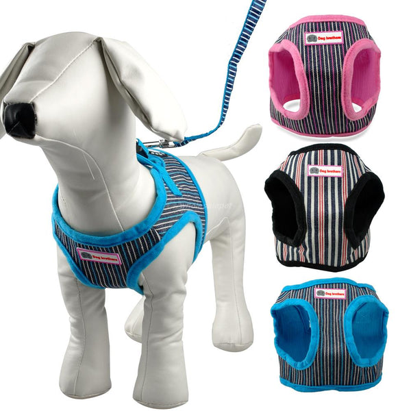 Cute  Puppy Dog Harness