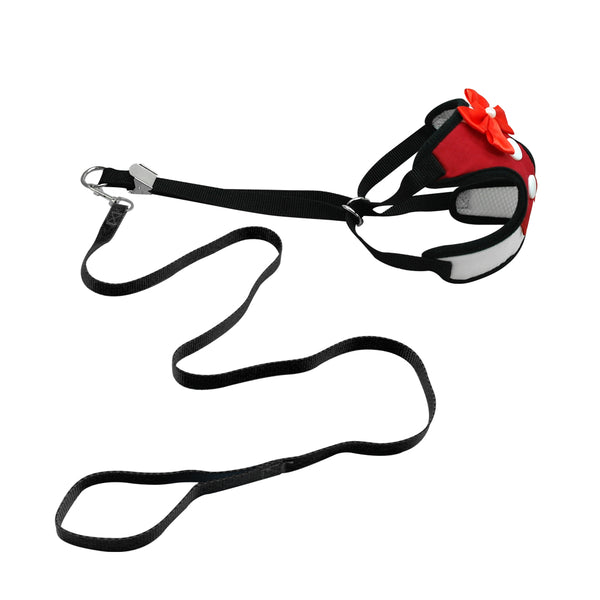 Elegant Bow Pet Leash