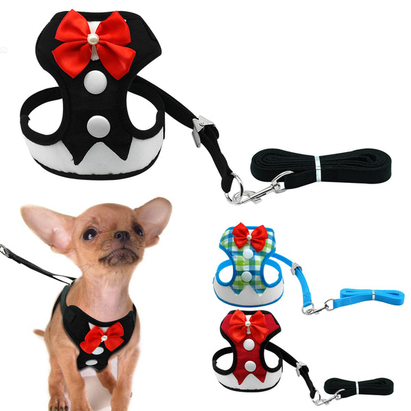Elegant Bow Pet Leash