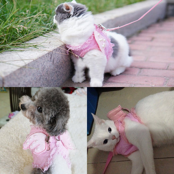Adorable Angel Wings Harness