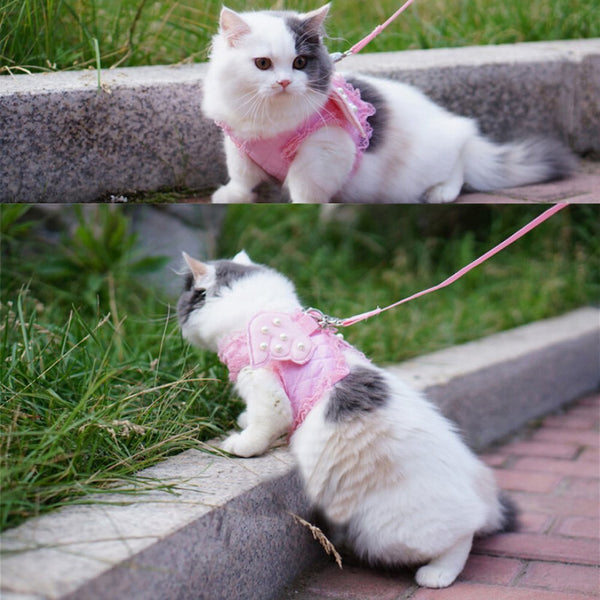 Adorable Angel Wings Harness