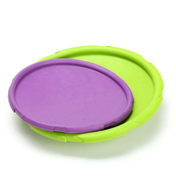 Fetch Training Silicone Disc