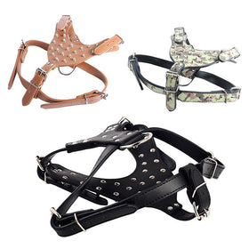 Pet Chest Strap Belt