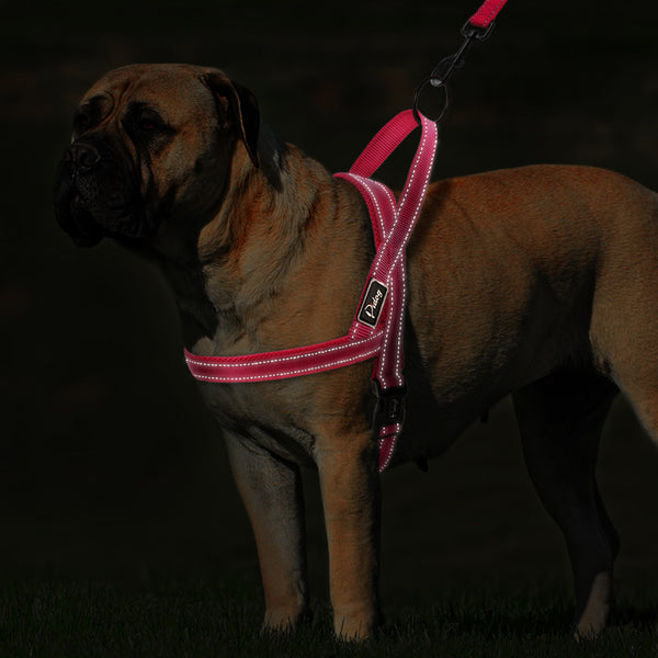 Reflective Dog Harness Leash