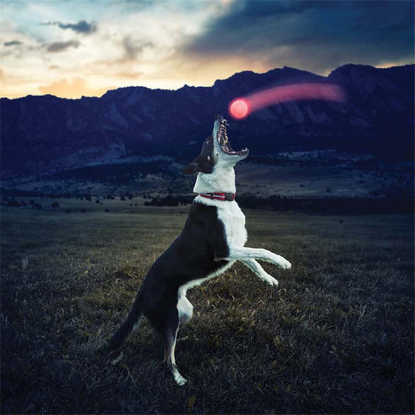 Glowing Bite Ball Toy