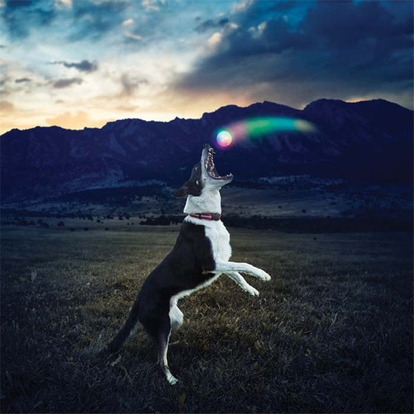 Glowing Bite Ball Toy