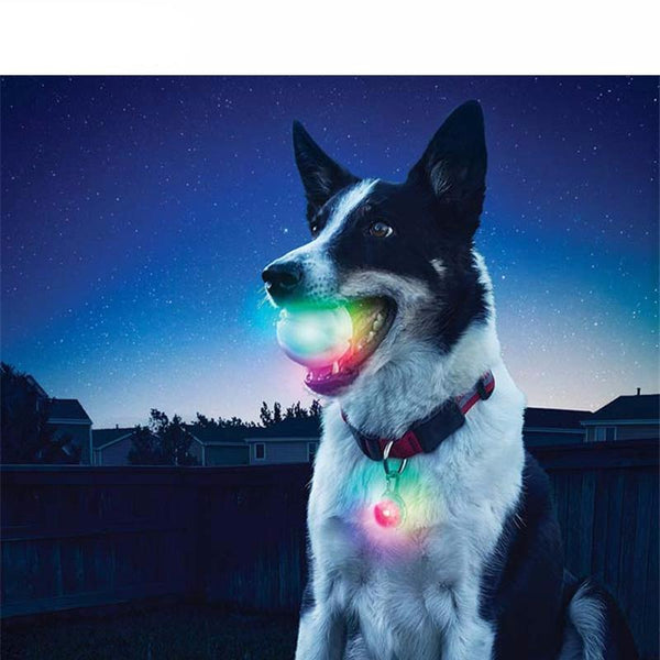 Glowing Bite Ball Toy
