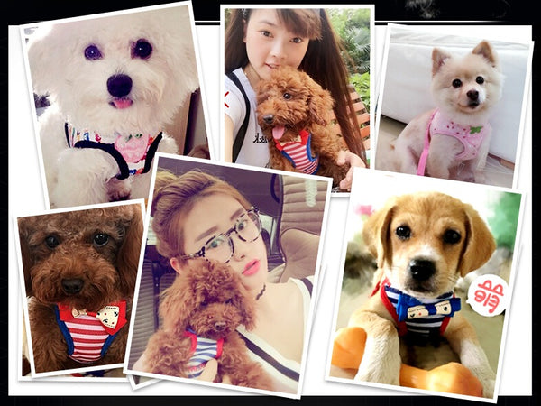 Cartoon Pet Lead Leash