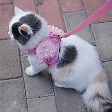Adorable Angel Wings Harness