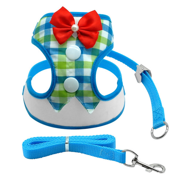 Elegant Bow Pet Leash