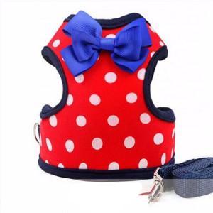 Cartoon Pet Lead Leash