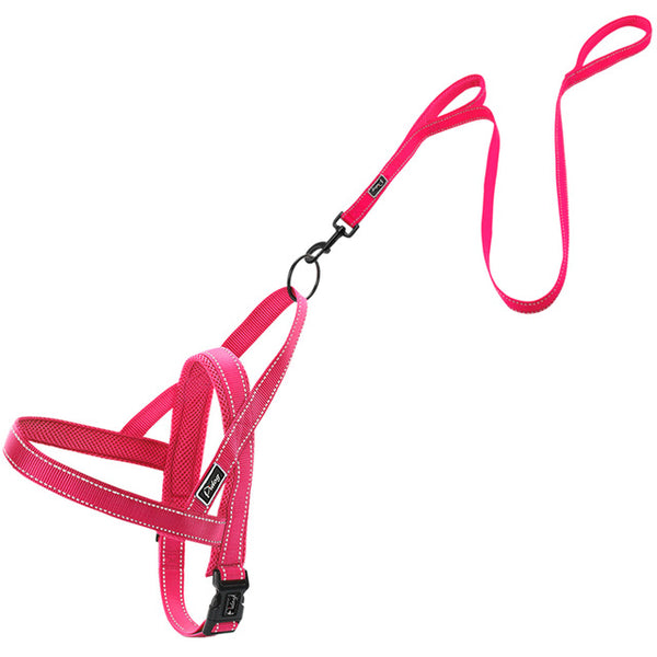 Reflective Dog Harness Leash