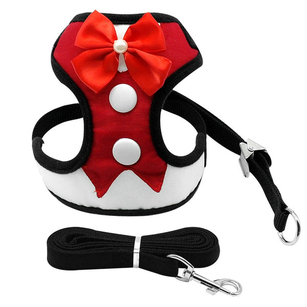 Elegant Bow Pet Leash