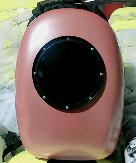 Space Bag Pet Carrier